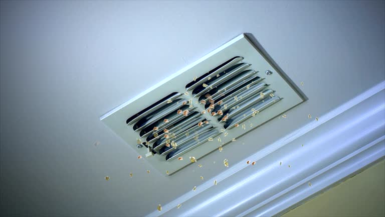 Best Emergency Air Duct Cleaning  in Hollandale, MS