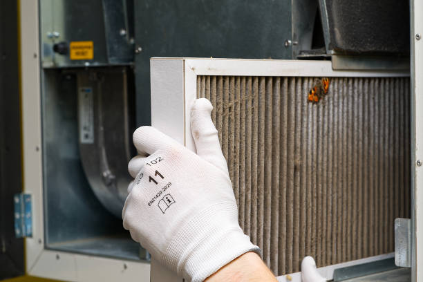 Best Ventilation Cleaning Services  in Hollandale, MS