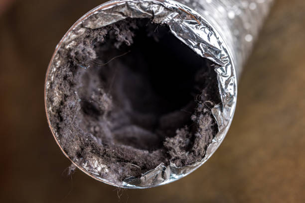 Best Affordable Air Duct Cleaning  in Hollandale, MS