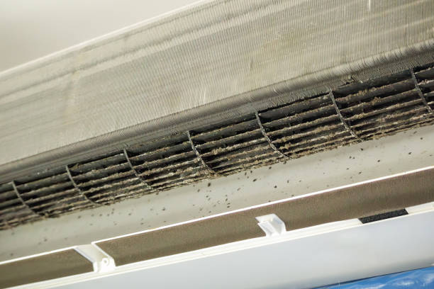 Best Affordable Duct Cleaning Services  in Hollandale, MS