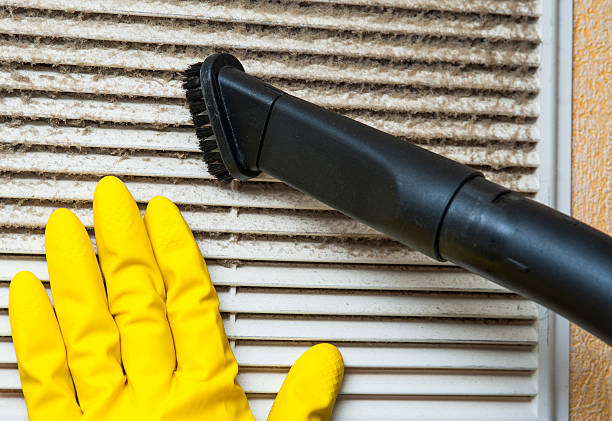 Best HVAC System Cleaning  in Hollandale, MS