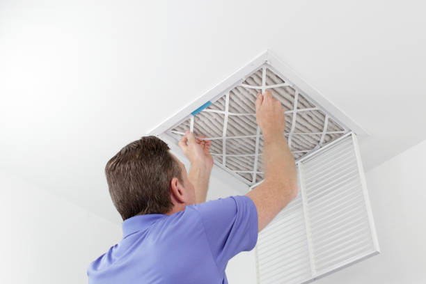 Best Ductwork Cleaning Services  in Hollandale, MS